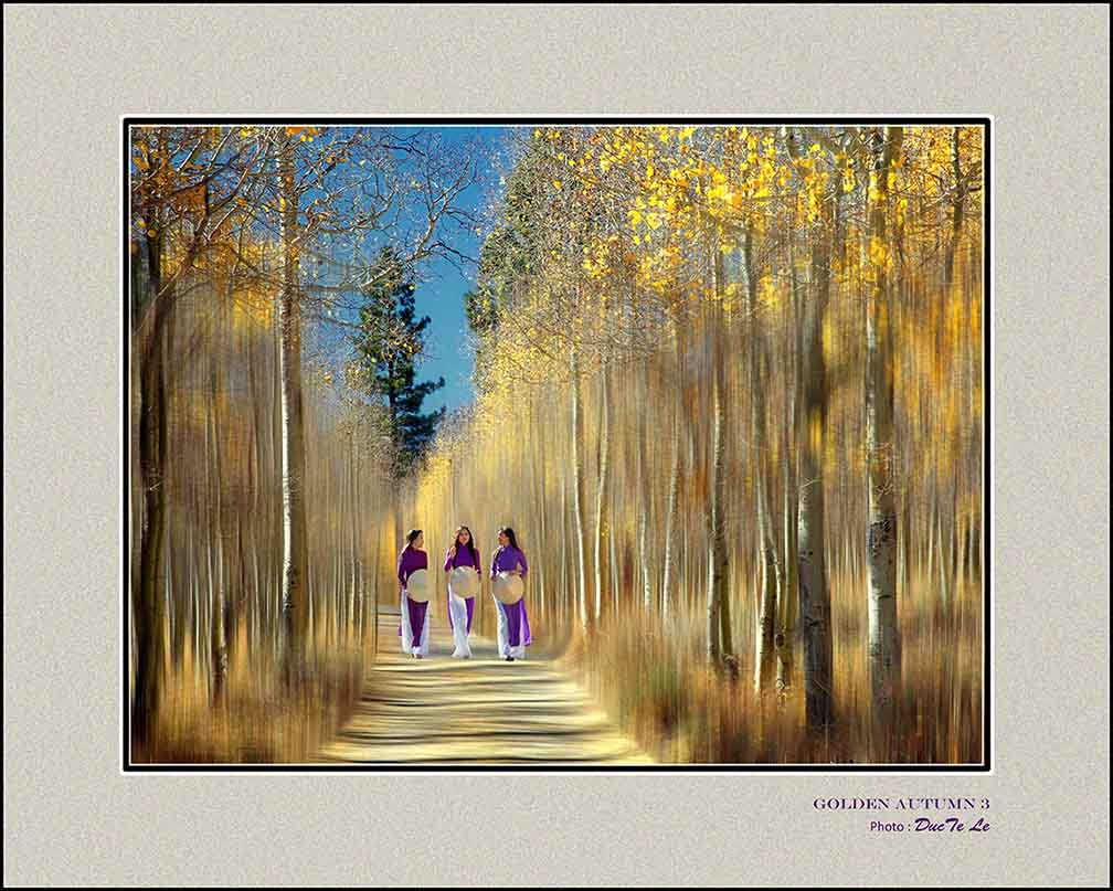 B-002-Golden-Autumn-3-20-x-16-Resize